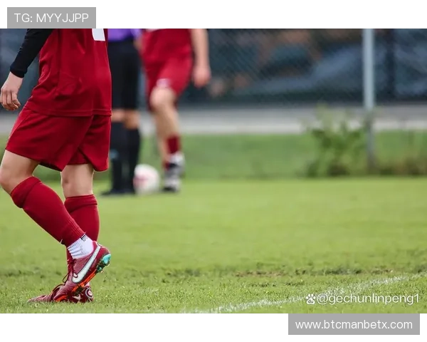 即时比分网在体育赛事中的应用场景详解，满足不同用户群体的多样化信息需求