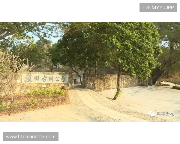 天空体育网站常见问题解答：登录困难、视频加载缓慢等问题的解决方案